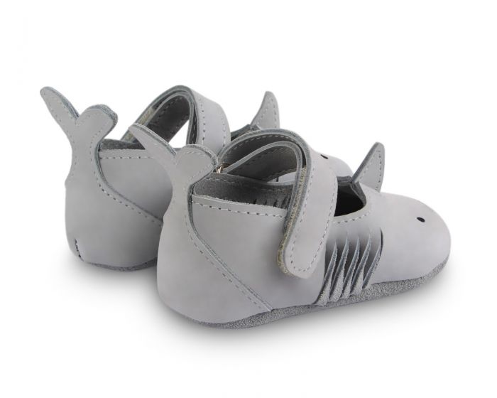 AMIGU | Shark