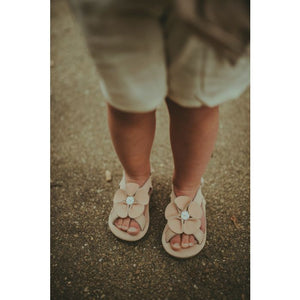 TUTI | Peony